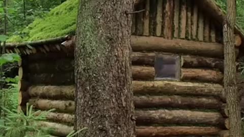 log cabin in the woods. rain.wood stove
