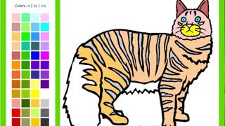 Coloring Cat Pictures