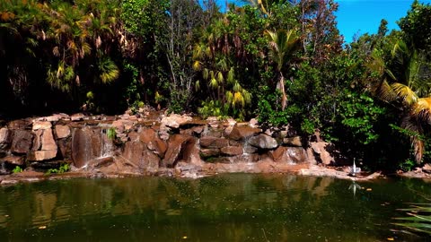 Waterfall Heron Bird Rocks Trees Lake Pool