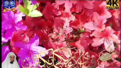 Surah Rahman | talawat Quran Dally | episode (055)| Surah Rahman ful HD Complete | سورہ یاسین تلاوت