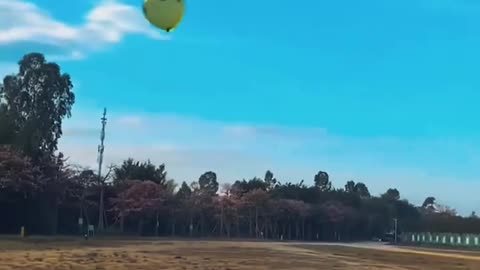 Dogs Playing with balloons 🎈🎈 #real happiness