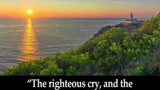 Morning Prayer to Cry Out #youtubeshorts #grace #jesus #mercy #faith #fyp #blessed #love #joy #trust