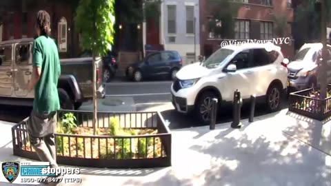 Black Man in New York hits an old lady with a rock.