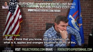 NY Magazine Tries To “Fact Check” Project Veritas But Prove They Are The Ones Struggling With Facts