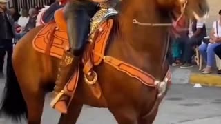 caballo