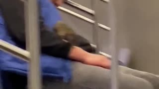 Rat on a subway train
