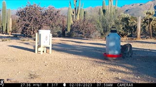 Trail Camera Video, 1/1/2023-3/31/2023