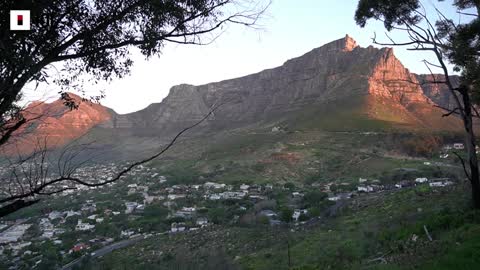 Stock: Table Mountain Views from Lion's Head in Cape Town