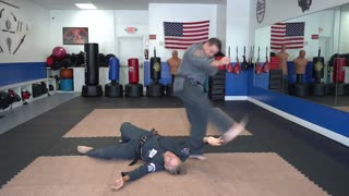 An example of the American Kenpo technique Falling Falcon