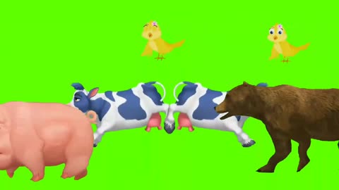 ANIMALS STAMPEDE !!! GREEN SCREEN CARTOON !!!ANIMALS STAMPEDE !!!!!