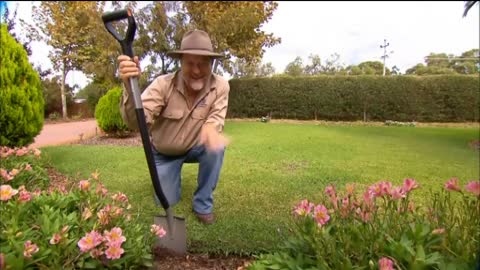 Best Turf For Around Australian Gardens | Palmetto Turf And Empire Turf by The Garden Gurus.