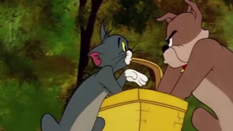 Tom and Jerry Fun