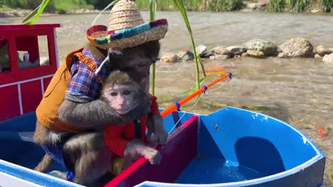 Monkey Baby Bim Bim and Obi go fishing on the boat and meet SHARK-5