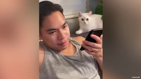 Cats and Their Human That Would Fill Up Your Day With Happiness
