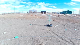 Disc Golf Forehand Approach Shots - Dogs Ducks Chickens and Planes