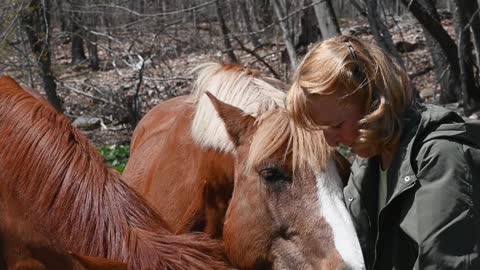 Rumble/Horse eating with hand in a cute way