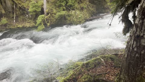 Absolutely Spectacular McKenzie River Up Close – Sahalie Falls & Koosah Falls Loop – 4K