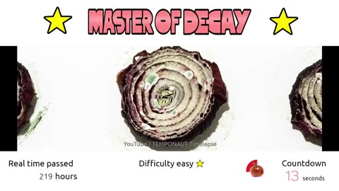 Master of Decay Time Lapse Video Quiz 04