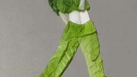 Funny Vegetable Dance, stop motion animation