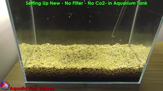 Setting Up New - No Filter - No Co2 - in Aquarium Tank
