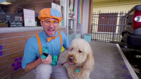 Blippi Cares For Pets At The Animal Shelter! _ Fun and Educational Videos for Kids