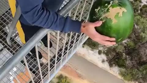 USA watermelon jumping hi video