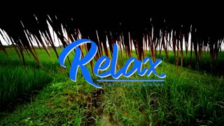 Khmer flute relaxing music