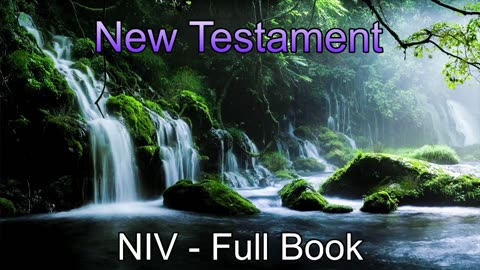 NIV New Testament - Full Book