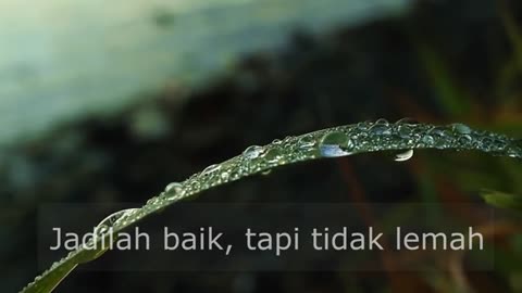 Bangga Tapi Tidak Sombong - kata bijak - motivasi - whatsapp status - wa 30 detik - quote