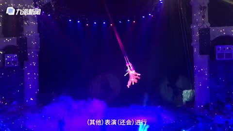Acrobat falls during circus performance
