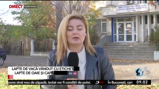 Fraudă alimentară în România. Înlocuiau laptele de oaie sau de capră cu lapte de vacă