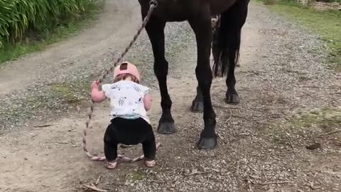 Little girl leads horse 🐴