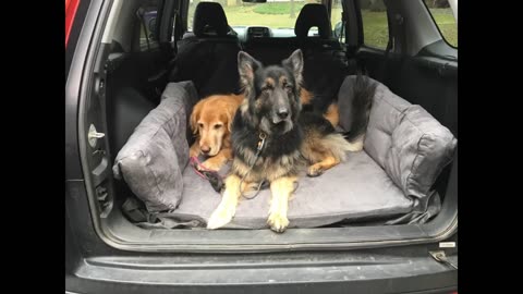 Big Barker Backseat Barker SUV Edition - Orthopedic Travel Dog Bed for Car - Charcoal Gray, Lar...