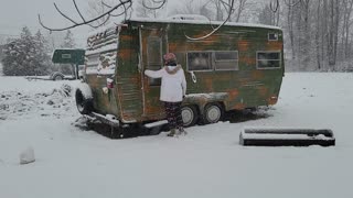 Chickens first snow