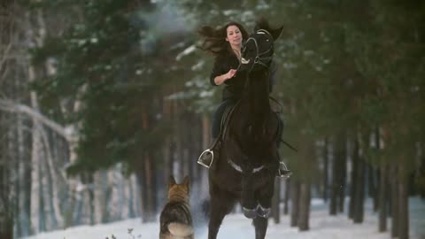 Professional beautiful longhaired woman riding a black horse