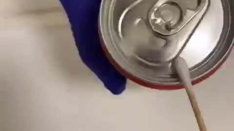 Bacteria on a can