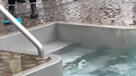 Holy cold water bath