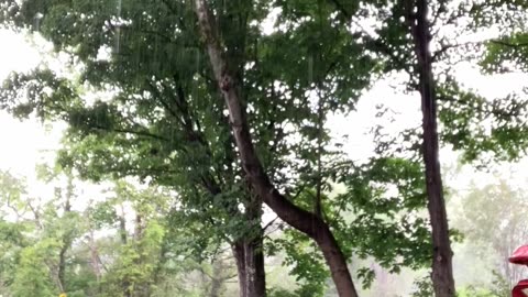 Yesterday’s Rain