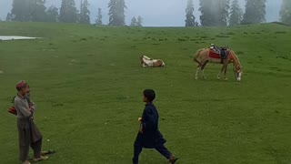 Manchi top near Sharan valley Pakistan Tourism