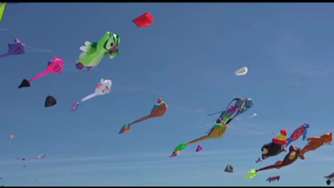 Kite flying