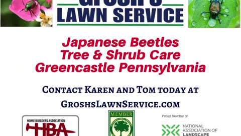 Japanese Beetles Greencastle Pennsylvania