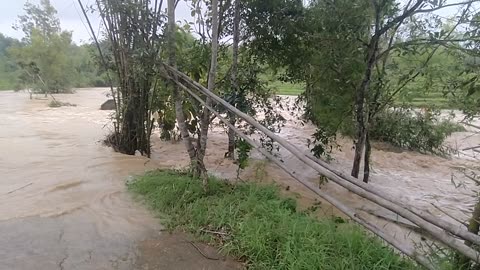 Viral video of flash floods caught on camera