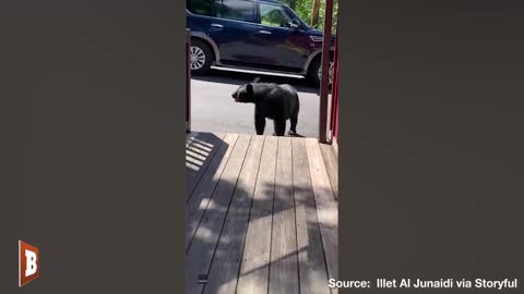 "Oh, Hell No!": Bear CHARGES Woman After She Calls It a "Cutie"