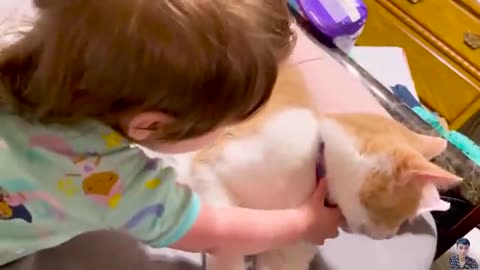 Pets kids video