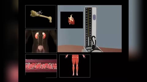 Endocrine system