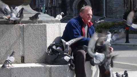 Pigeon Man 20th April 2016 Ocean City Plymouth 2016