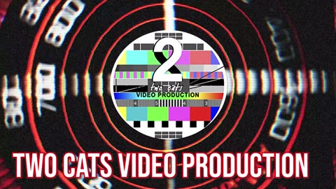 Two cats PROMO 2024