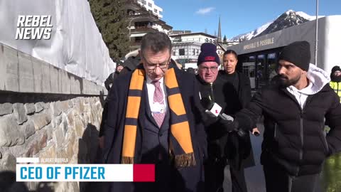 Rebel News i Davos 2023 vs Pfizer Direktør