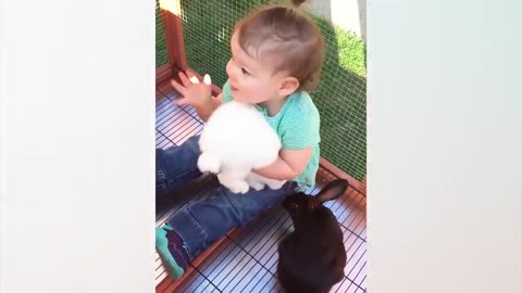 You'll love watching this Baby with the Animals Video