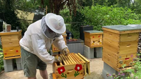 NEW BEEKEEPER ROOKIE MISTAKE PART 2 !!